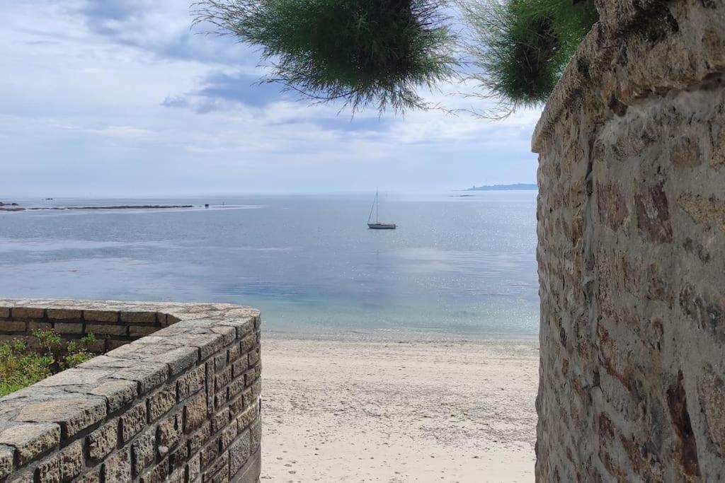 Chez Louisette Centre Ville Et Plages A Pied! Concarneau Eksteriør billede